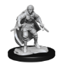 Dungeons &amp; Dragons Nolzur’s Marvelous Miniatures: HALF-ELF ROGUE FEMALE - 90228 [634482902288]