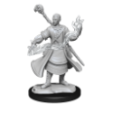 Dungeons & Dragons Nolzur’s Marvelous Miniatures: HALF-ELF WIZARD MALE 