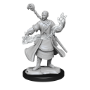 Dungeons &amp; Dragons Nolzur’s Marvelous Miniatures: HALF-ELF WIZARD MALE - 90229 [634482902295]