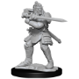Dungeons &amp; Dragons Nolzur’s Marvelous Miniatures: HOBGOBLIN MALE AND FEMALE - 90310 [634482903100]