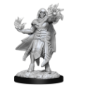 Dungeons & Dragons Nolzur’s Marvelous Miniatures: HOBGOBLIN MALE AND FEMALE 