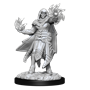 Dungeons &amp; Dragons Nolzur’s Marvelous Miniatures: HOBGOBLIN MALE AND FEMALE - 90310 [634482903100]