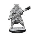 Dungeons & Dragons Nolzur’s Marvelous Miniatures: HUMAN BARBARIAN MALE 
