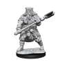 Dungeons &amp; Dragons Nolzur’s Marvelous Miniatures: HUMAN BARBARIAN MALE - 90224 [634482902240]