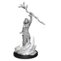 Dungeons & Dragons Nolzur’s Marvelous Miniatures: HUMAN DRUID FEMALE 