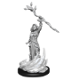 Dungeons &amp; Dragons Nolzur’s Marvelous Miniatures: HUMAN DRUID FEMALE - 90223 [634482902233]