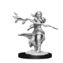 Dungeons &amp; Dragons Nolzur’s Marvelous Miniatures: HUMAN DRUID FEMALE - 90223 [634482902233]