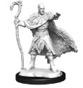 Dungeons & Dragons Nolzur’s Marvelous Miniatures: HUMAN DRUID MALE 