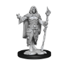 Dungeons &amp; Dragons Nolzur’s Marvelous Miniatures: HUMAN DRUID MALE - 90221 [634482902219]