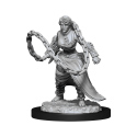 Dungeons & Dragons Nolzur’s Marvelous Miniatures: HUMAN MONK FEMALE 