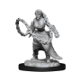 Dungeons &amp; Dragons Nolzur’s Marvelous Miniatures: HUMAN MONK FEMALE - 90225 [634482902257]