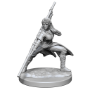 Dungeons &amp; Dragons Nolzur’s Marvelous Miniatures: HUMAN MONK FEMALE - 90225 [634482902257]