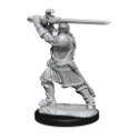 Dungeons & Dragons Nolzur’s Marvelous Miniatures: HUMAN PALADIN MALE 