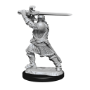 Dungeons &amp; Dragons Nolzur’s Marvelous Miniatures: HUMAN PALADIN MALE - 90220 [634482902202]