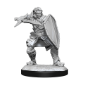 Dungeons &amp; Dragons Nolzur’s Marvelous Miniatures: HUMAN PALADIN MALE - 90220 [634482902202]