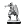 Dungeons &amp; Dragons Nolzur’s Marvelous Miniatures: HUMAN PALADIN MALE - 90220 [634482902202]