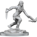 Dungeons & Dragons Nolzur’s Marvelous Miniatures: Half-Elf Rogue Female 