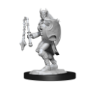 Dungeons & Dragons Nolzur’s Marvelous Miniatures: KALASHTAR CLERIC FEMALE 