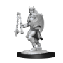 Dungeons &amp; Dragons Nolzur’s Marvelous Miniatures: KALASHTAR CLERIC FEMALE - 90233 [634482902332]