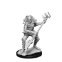 Dungeons &amp; Dragons Nolzur’s Marvelous Miniatures: KOALINTHS - 90245 [634482902455]