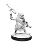 Dungeons &amp; Dragons Nolzur’s Marvelous Miniatures: KUO-TOA/ KUO-TOA WHIP - 90246 [634482902462]
