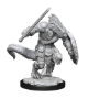 Dungeons &amp; Dragons Nolzur’s Marvelous Miniatures: LIZARDFOLK BARBARIAN/CLERIC - 90308 [634482903087]