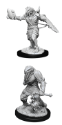 Dungeons & Dragons Nolzur’s Marvelous Miniatures: MALE DRAGONBORN PALADIN 
