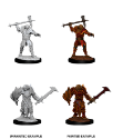 Dungeons & Dragons Nolzur’s Marvelous Miniatures: MALE DRAGONBORN PALADIN 