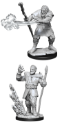 Dungeons & Dragons Nolzur’s Marvelous Miniatures: MALE FIRBOLG DRUID 