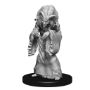 Dungeons &amp; Dragons Nolzur’s Marvelous Miniatures: NIGHT HAG/ DUSK HAG - 90239 [634482902394]