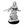 Dungeons &amp; Dragons Nolzur’s Marvelous Miniatures: NIGHT HAG/ DUSK HAG - 90239 [634482902394]