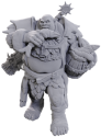 Dungeons & Dragons Nolzur’s Marvelous Miniatures: OGRE SOLDIER 