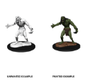 Dungeons & Dragons Nolzur’s Marvelous Miniatures: RAGING TROLL 
