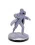 Dungeons &amp; Dragons Nolzur’s Marvelous Miniatures: Reborn Paladin/Warlock - 90673 [634482906736]