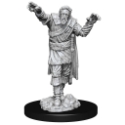 Dungeons & Dragons Nolzur’s Marvelous Miniatures: SCARECROW/ STONE CURSED 