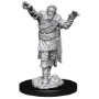 Dungeons &amp; Dragons Nolzur’s Marvelous Miniatures: SCARECROW/ STONE CURSED - 90241 [634482902417]