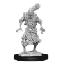 Dungeons &amp; Dragons Nolzur’s Marvelous Miniatures: SCARECROW/ STONE CURSED - 90241 [634482902417]