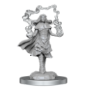 Dungeons & Dragons Nolzur’s Marvelous Miniatures: Spellcaster/Flameskull 