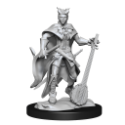 Dungeons & Dragons Nolzur’s Marvelous Miniatures: TIEFLING BARD FEMALE 