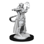 Dungeons &amp; Dragons Nolzur’s Marvelous Miniatures: TIEFLING SORCERER FEMALE - 90304 [634482903049]