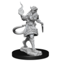 Dungeons & Dragons Nolzur’s Marvelous Miniatures: TIEFLING SORCERER FEMALE 