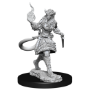 Dungeons &amp; Dragons Nolzur’s Marvelous Miniatures: TIEFLING SORCERER FEMALE - 90304 [634482903049]