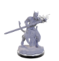 Dungeons &amp; Dragons Nolzur’s Marvelous Miniatures: Tiefling Warlocks - 90670 [634482906705]