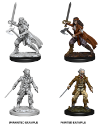 Dungeons & Dragons Nolzur’s Marvelous Miniatures: Vampire Hunters 
