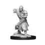 Dungeons &amp; Dragons Nolzur’s Marvelous Miniatures: WARFORGED MONK - 90234 [634482902349]