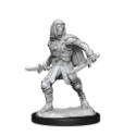 Dungeons & Dragons Nolzur’s Marvelous Miniatures: WARFORGED ROGUE 
