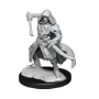 Dungeons &amp; Dragons Nolzur’s Marvelous Miniatures: WARFORGED ROGUE - 90236 [634482902363]