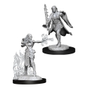 Dungeons & Dragons Nolzur’s Marvelous Miniatures: Multiclass: Warlock / Sorcerer 