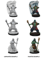 Dungeons & Dragons Nolzur’s Marvelous Miniatures: Water Genasi Druid (Male) 