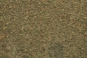 Woodland Scenics: Blended Turf- Earth Blend (32oz Shaker) 